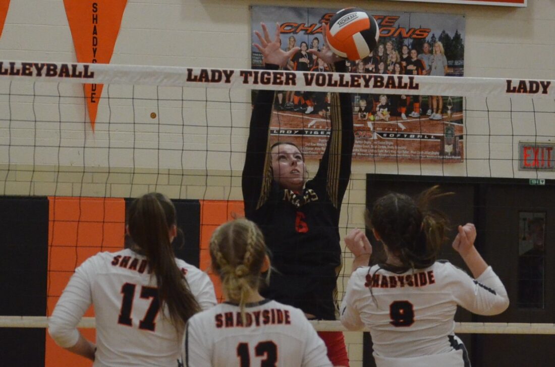 Monroe Central solidifies OVAC Class 2A playoff bid News, Sports